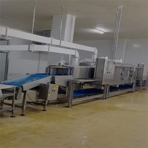 75KW-解凍設(shè)備-凍肉解凍機(jī)-快速解凍設(shè)備-微波解凍（有視頻）